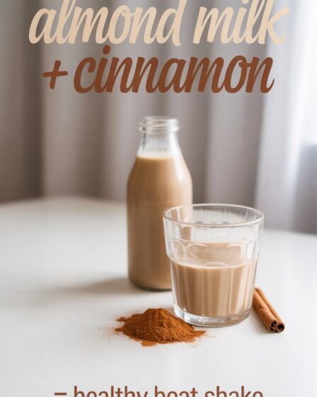 almond milk cinnamon shake