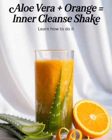aloe and orange shake