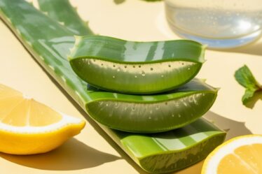 aloe lemon skin reset
