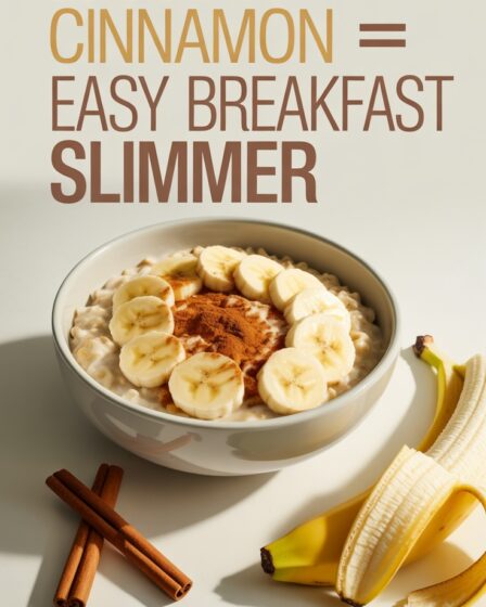 banana cinnamon breakfast slimmer