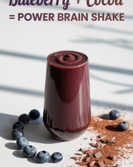 blueberry cocoa brain boost