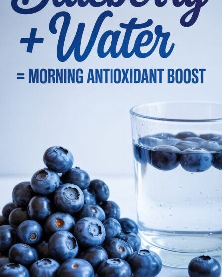 blueberry water antioxidant drink