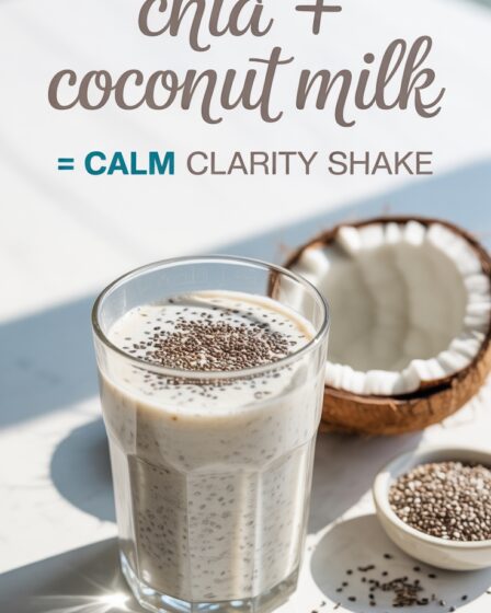 chia coconut milk shake