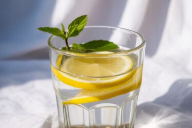 chia lemon gut cleanse