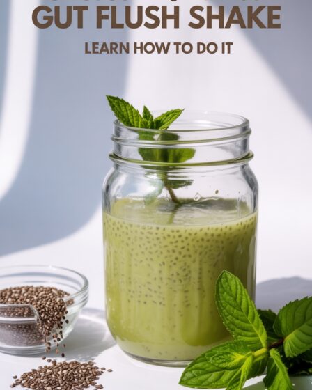 chia mint gut shake