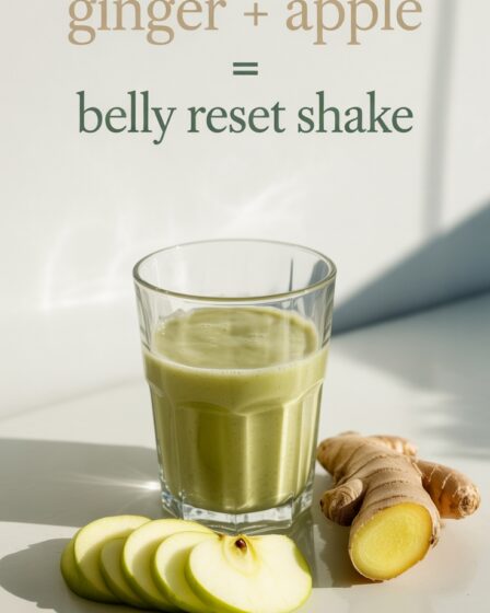 ginger apple belly shake