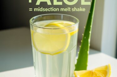 lemon aloe shake recipe