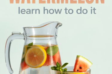 lemon watermelon tummy cooler