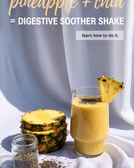 pineapple chia digestive shake