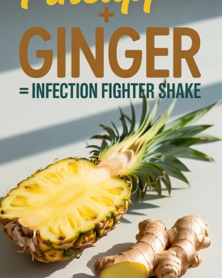 pineapple ginger immunity shake