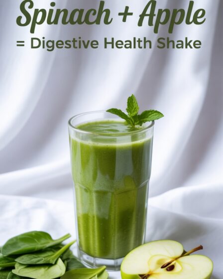 spinach apple digestive shake