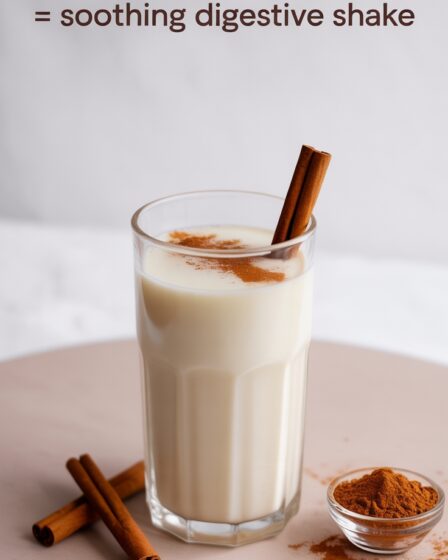 warm milk cinnamon shake