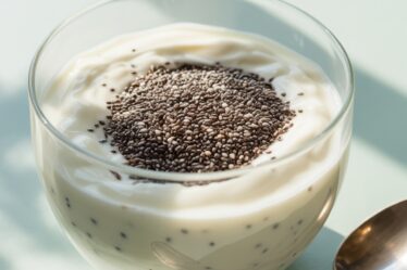 yogurt and chia blend